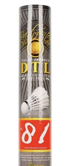 DTL 81